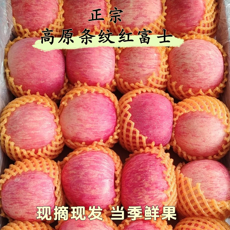 现摘河南三门峡苹果红富士脆甜水果平安果礼盒冰糖心苹果水果礼盒