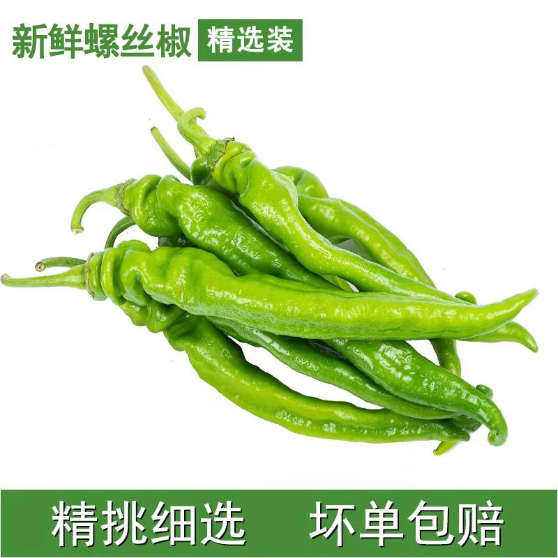 寿光螺丝椒中辣微辣【次日送货上门】辣椒尖椒青椒菜椒