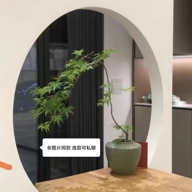 网红流泉枫黄金流泉红枫日本枫树阳台庭院植物盆景室内花园植物