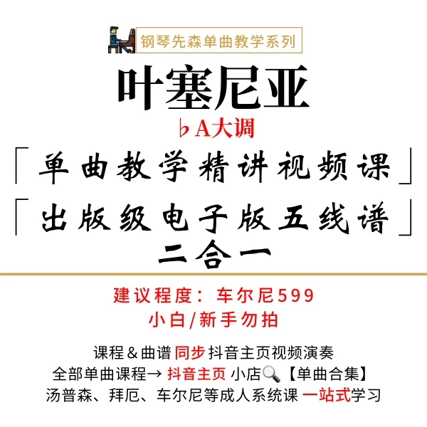《叶塞尼亚》钢琴单曲教学（新手勿拍/无简谱）