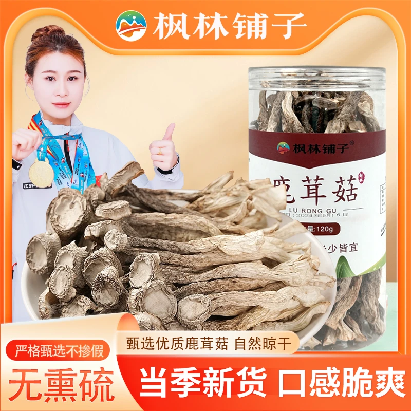 精选鹿茸菇当季鲜品纯净无杂质优选鲜香好味