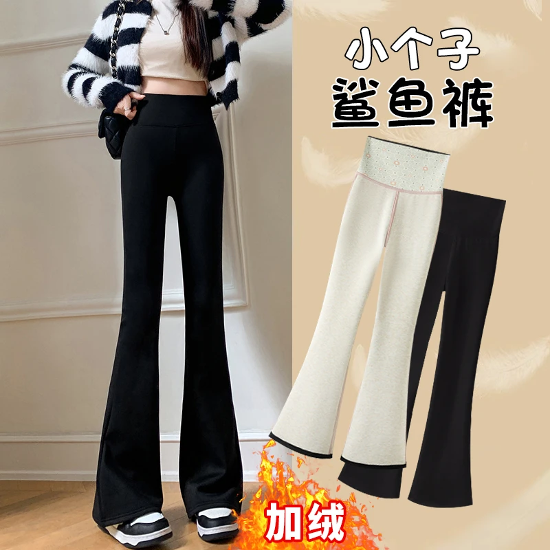 150小个子冬季加绒微喇鲨鱼裤女外穿高腰显瘦弹力宽松瑜伽喇叭裤