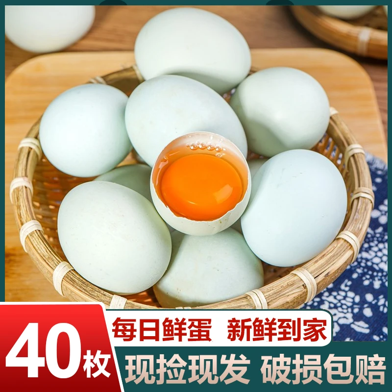 【官方品质】敞鲜 散养新鲜绿壳乌鸡蛋40枚 40g/枚