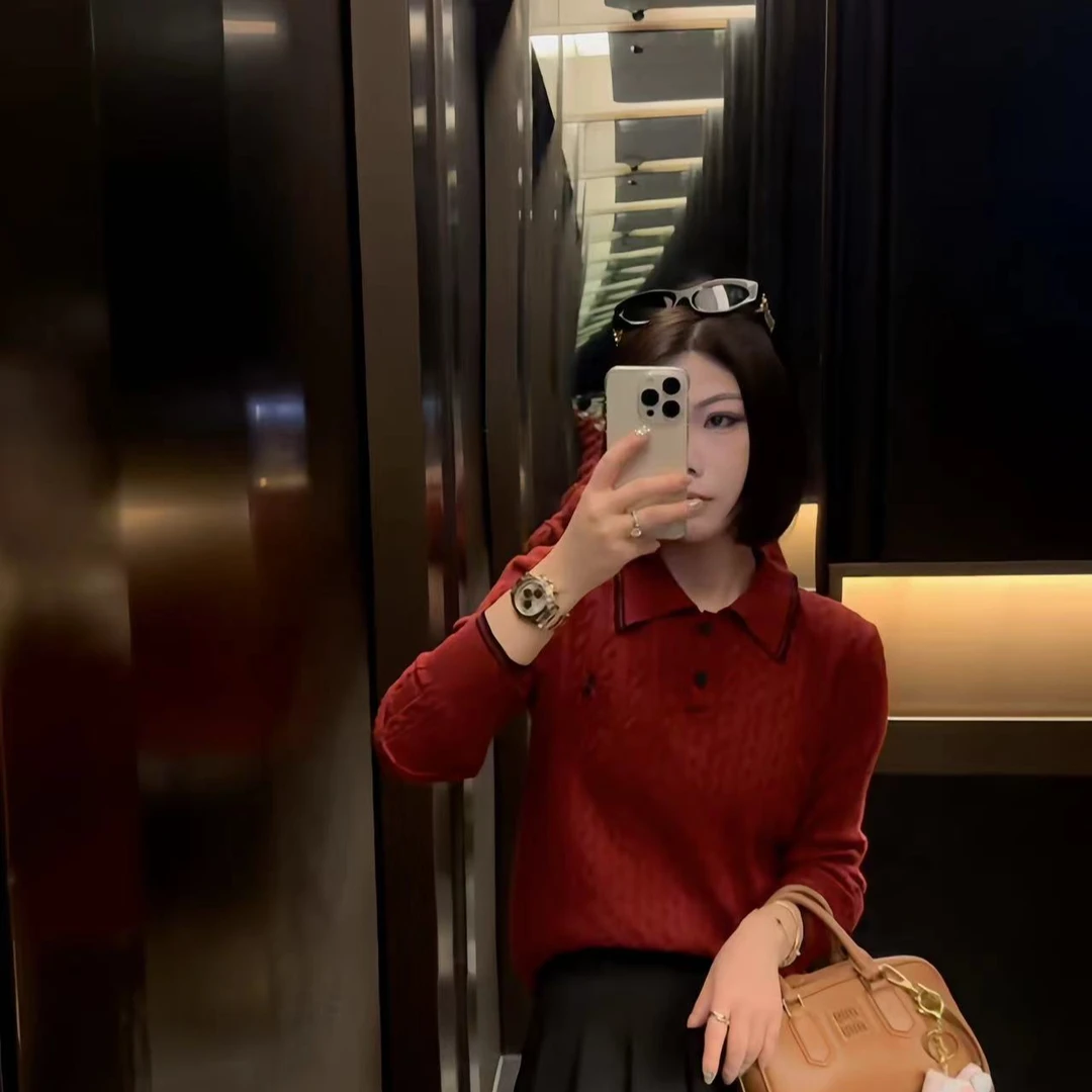 玳妮【萍萍推荐】秋季翻领系扣麻花钩花小马刺绣线衫套头时尚针织衫