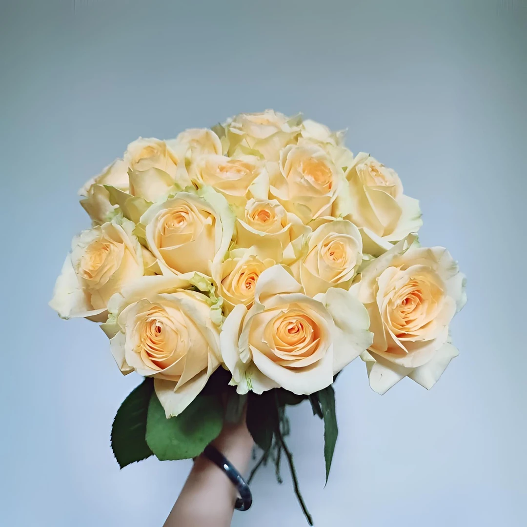 【秦小胖】蜜桃雪山单头玫瑰 10枝（注意：特殊花材，收到带包装醒花）