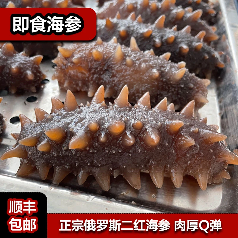 【开袋即食】海参营养好高品质进口俄罗斯二红参肉质Q弹优质严选