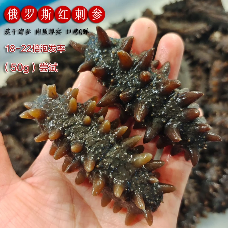 尝试50g足干纯淡干俄罗斯进口海参高品质16-20倍二红营养优质严选