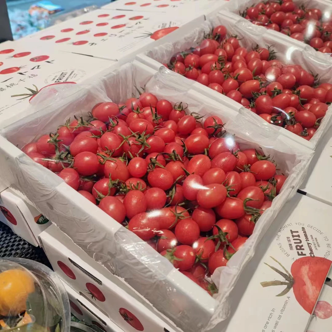 A小番茄1件番茄同城配