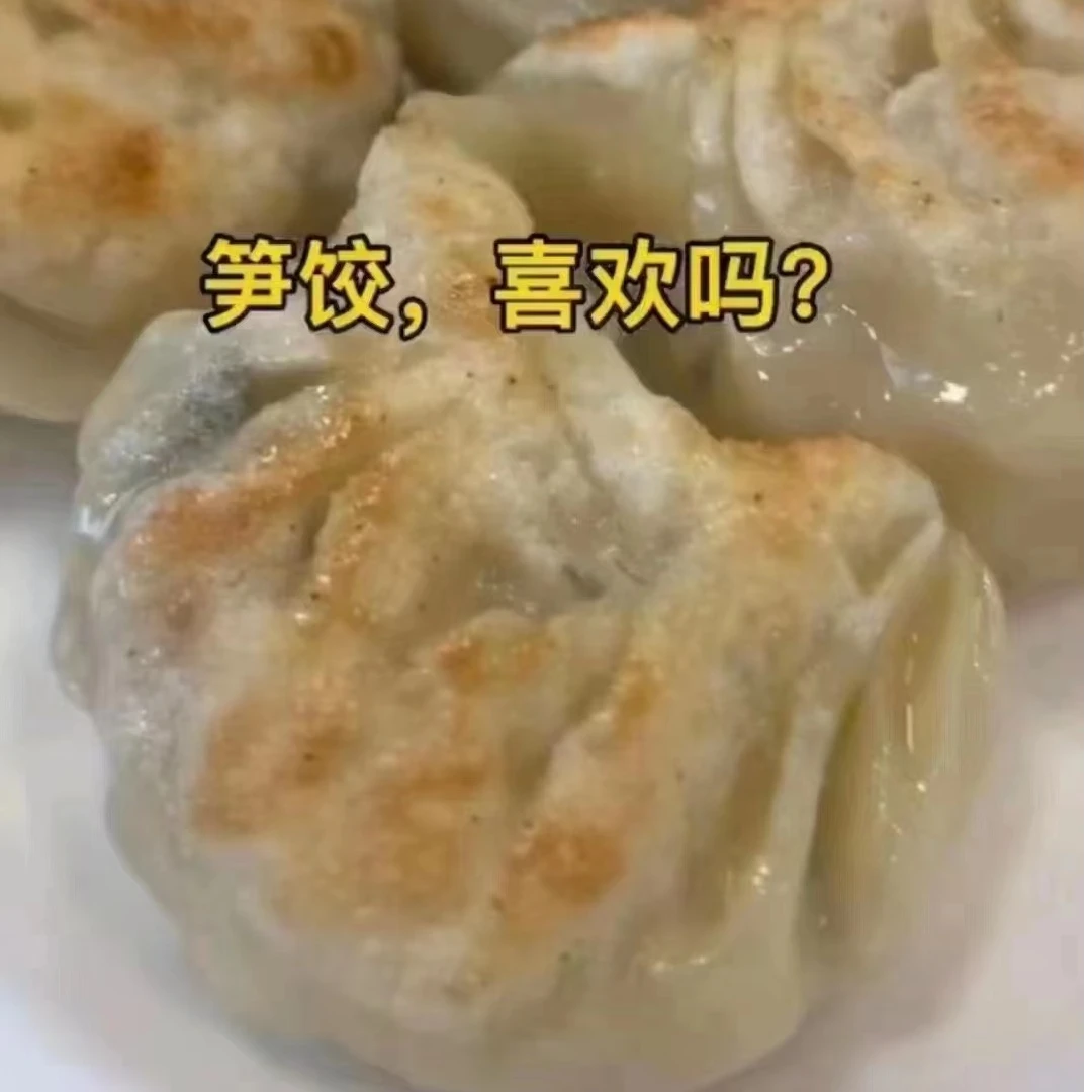 聚兴婆手工饺笋饺3盒100元顺丰包邮隔天送达