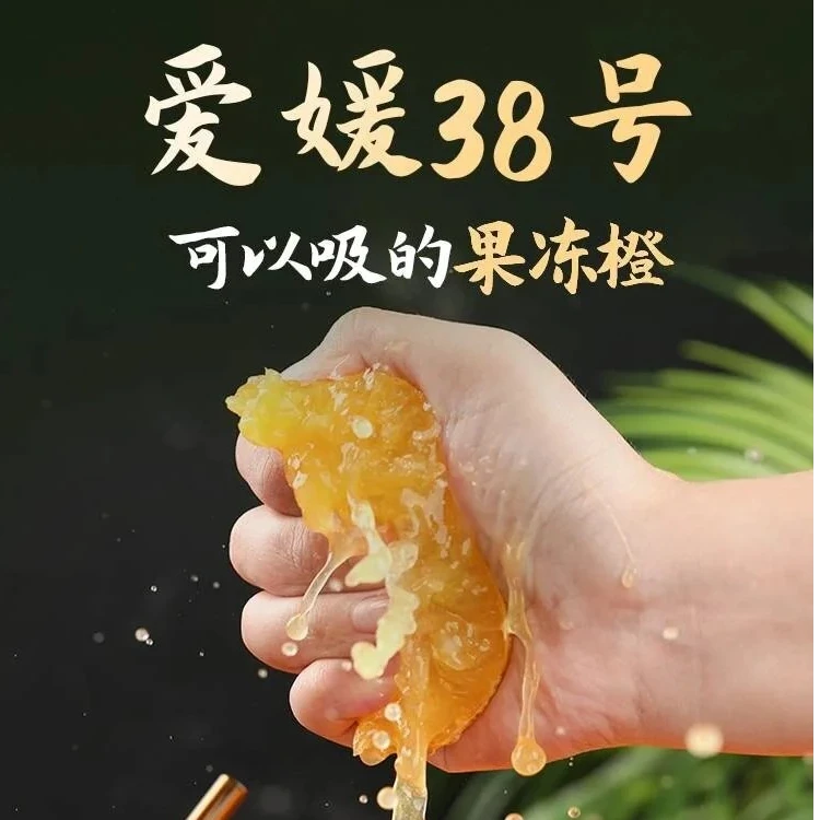 四川爱媛38号果冻橙