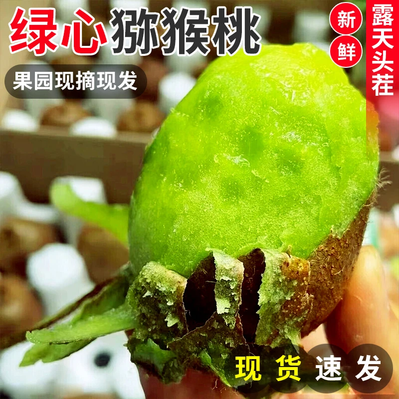 农家现摘陕西秦岭瑞玉猕猴桃天然生长绿心香甜奇异果12/24枚包邮