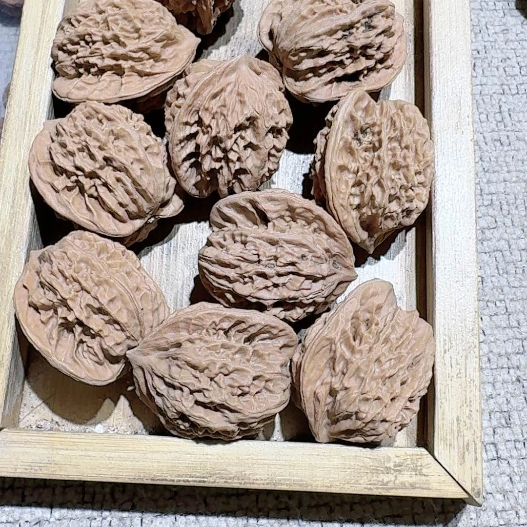 核桃核雕1号边34蟠龙纹