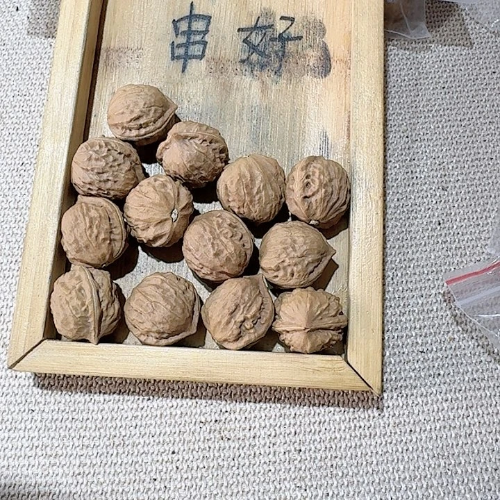 核桃核雕122号边23肚20高23
