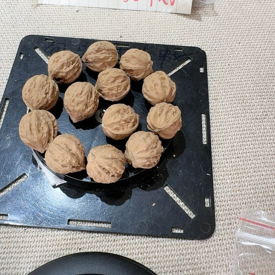 核桃核雕3号边23手串