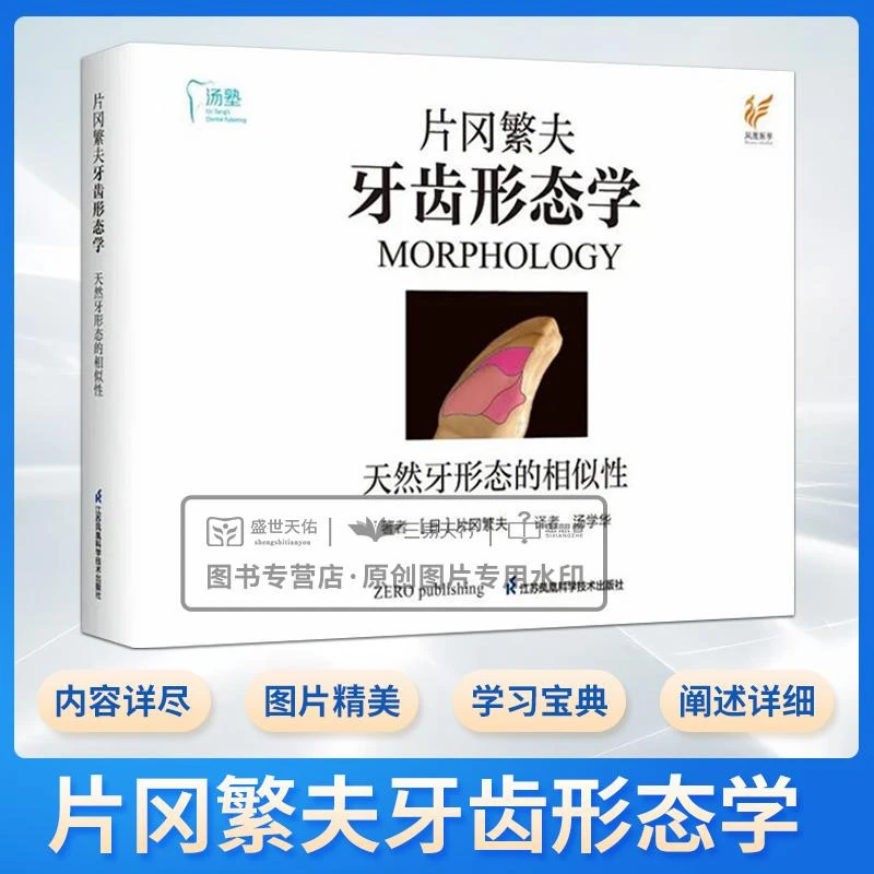 片冈繁夫牙齿形态学天然牙形态的相似性江苏凤凰科学技术出版社