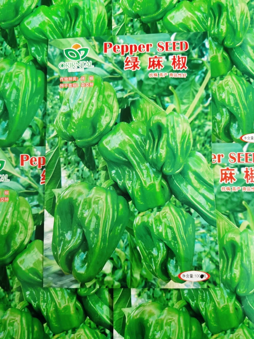 菜农绿麻椒杂交种子