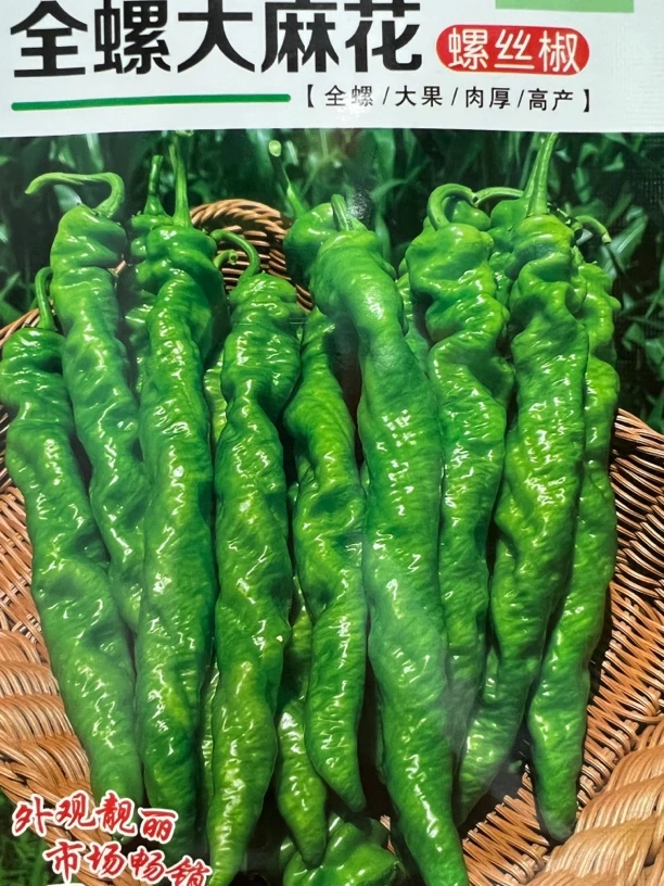 全螺大麻花辣椒种子100粒