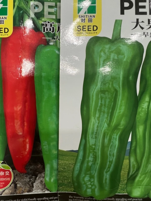 神牛，大果早优辣椒种子