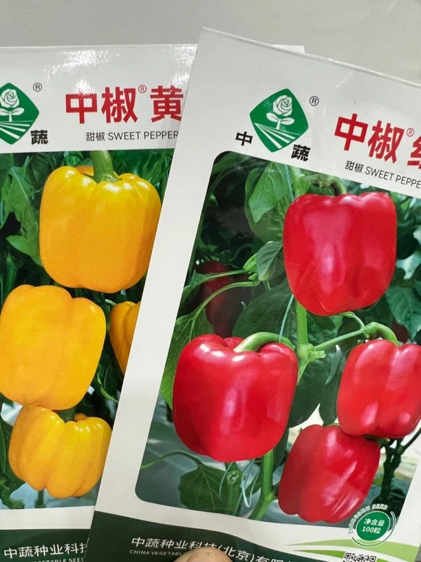杂交黄甜椒，红甜椒种子