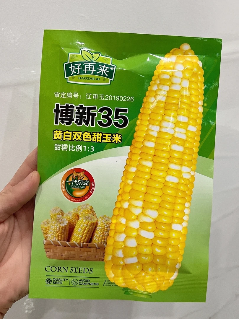 黄白双色水果糯博新35种子