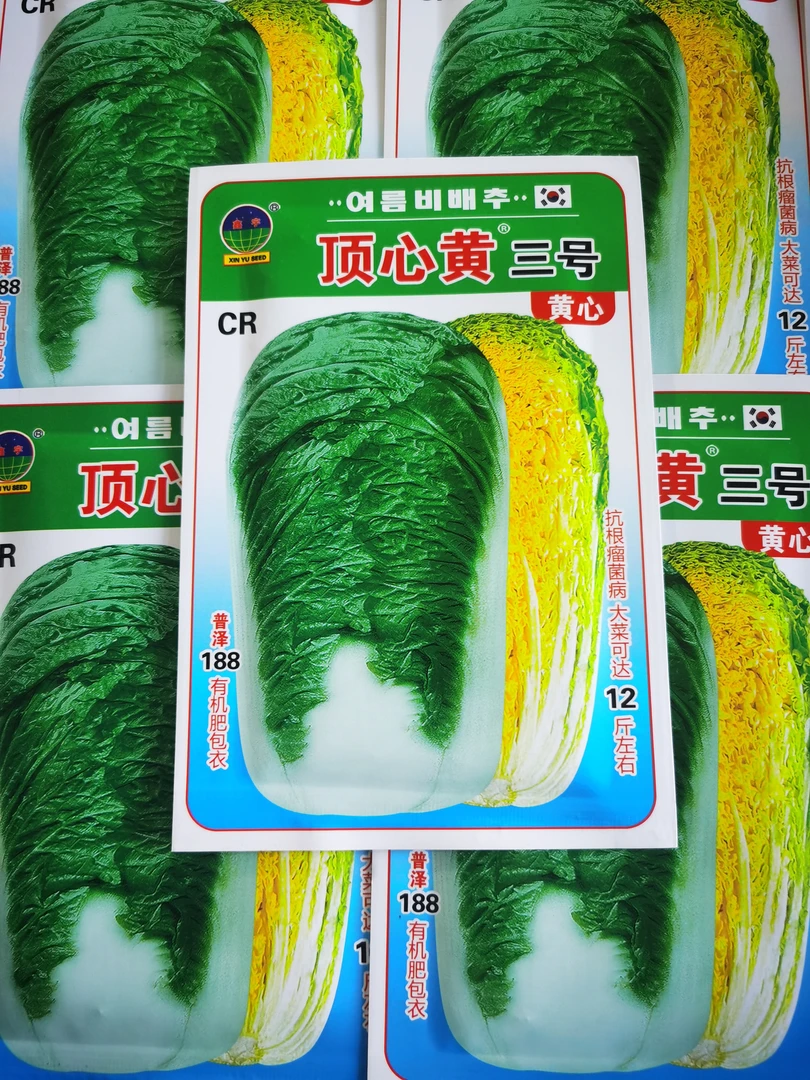 顶心黄三号白菜种子