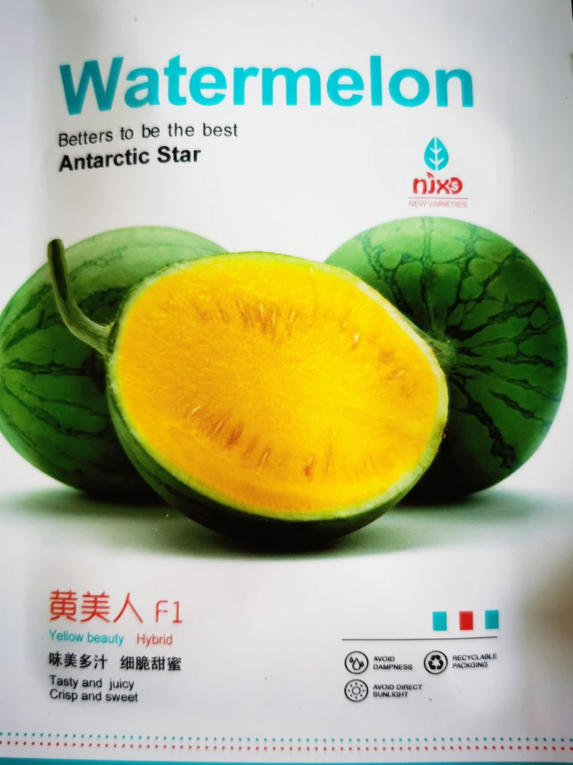 黄美人西瓜种子20粒