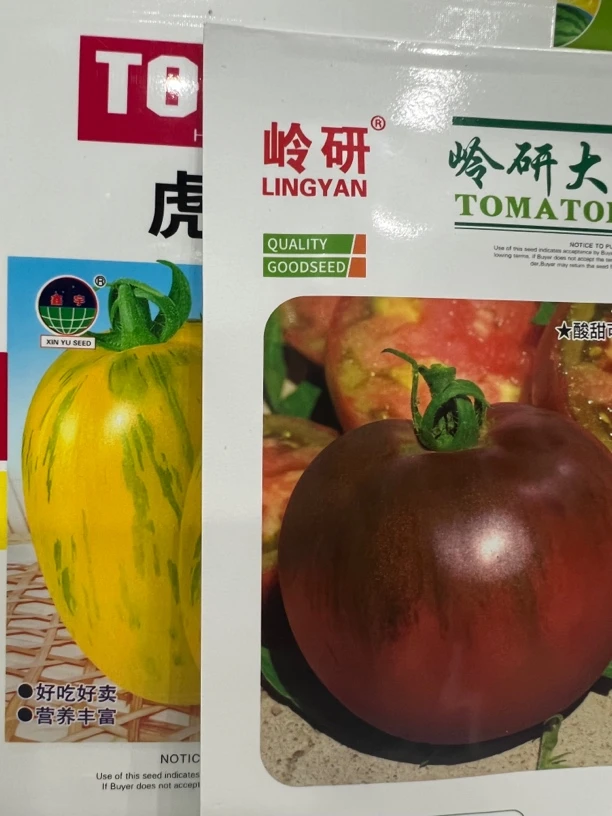 岭研大紫，虎皮黄番茄种子