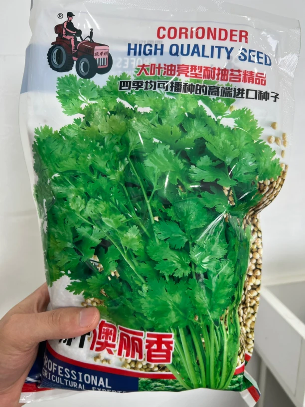 铁杆澳丽香大油叶香菜种籽1斤