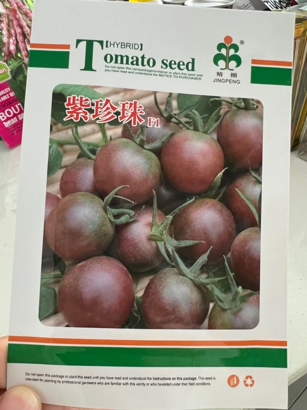 紫珍珠沙甜口感小番茄种子