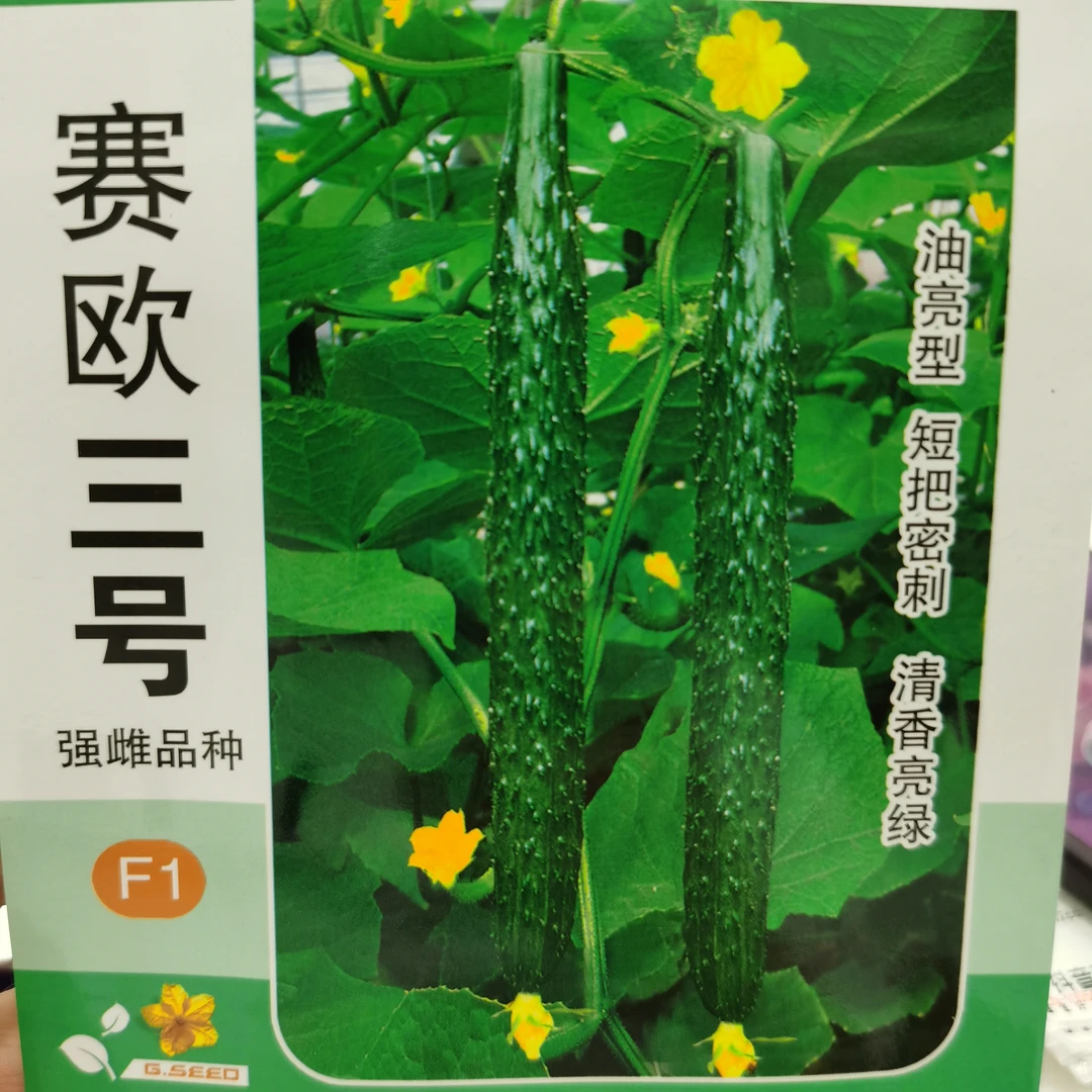 赛欧强雌杂交绿瓤水黄瓜种子