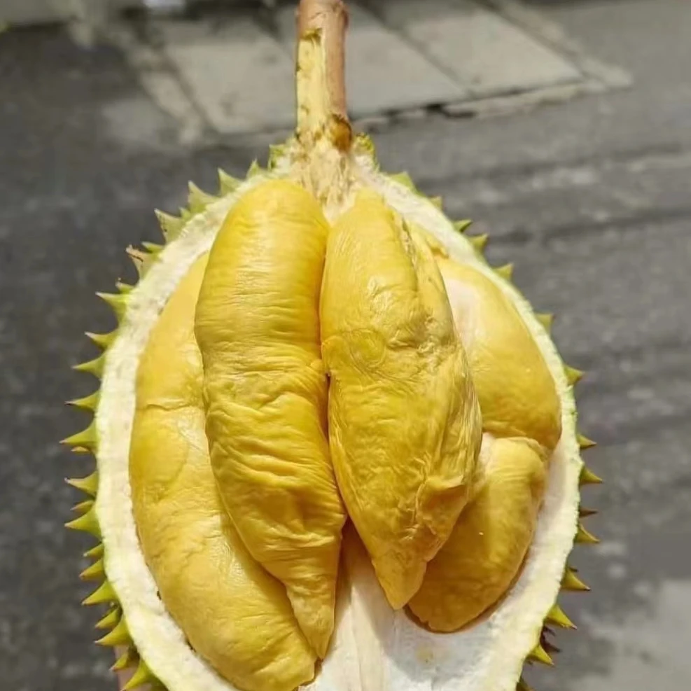 【二号称SF】8一物一拍 途上10-15%水分蒸发干尧榴莲勿生切