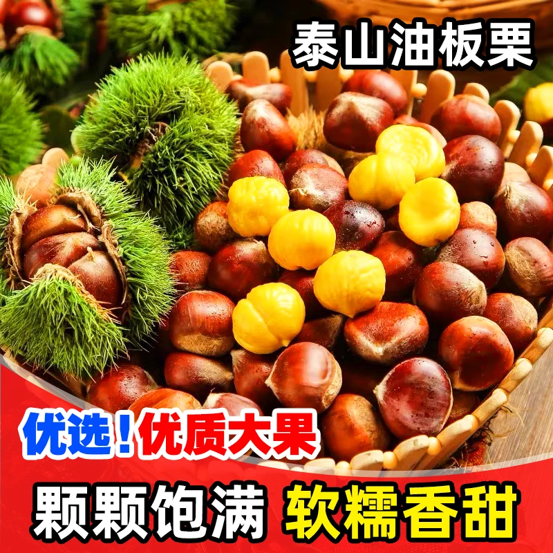 【8.9一斤试吃装泰山油栗】坏果包赔24年现摘新鲜锥栗软糯香甜板栗
