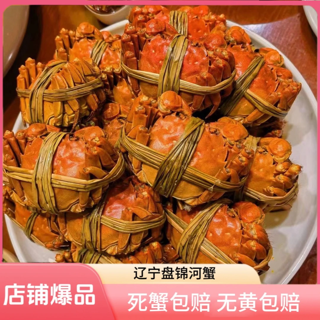【盘锦河蟹】大公蟹10只 1.7-2两 鲜活发货 全国冷链包邮礼盒发货—