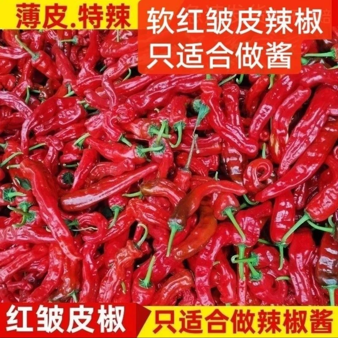 新鲜（爆辣软红邹皮介意慎拍）特辣红色小皱皮薄皮做剁辣椒酱专用