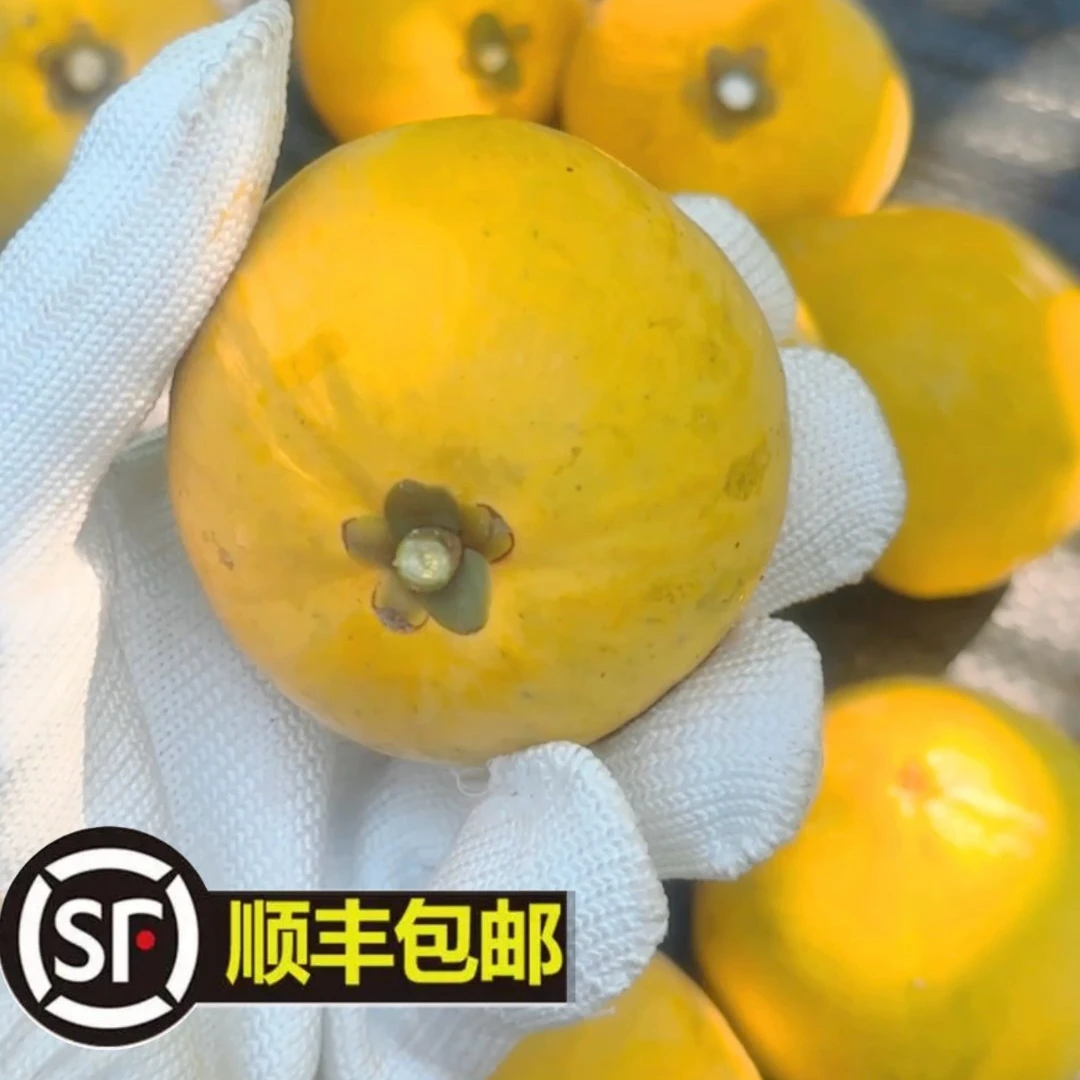 顺丰包邮 蛋黄果鸡蛋果热带水果应季水果新鲜采摘粉糯香甜1-5斤装