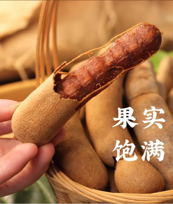 泰国进口甜酸角新鲜酸甜角孕妇零食新鲜果脯罗望子酸豆角大果精选