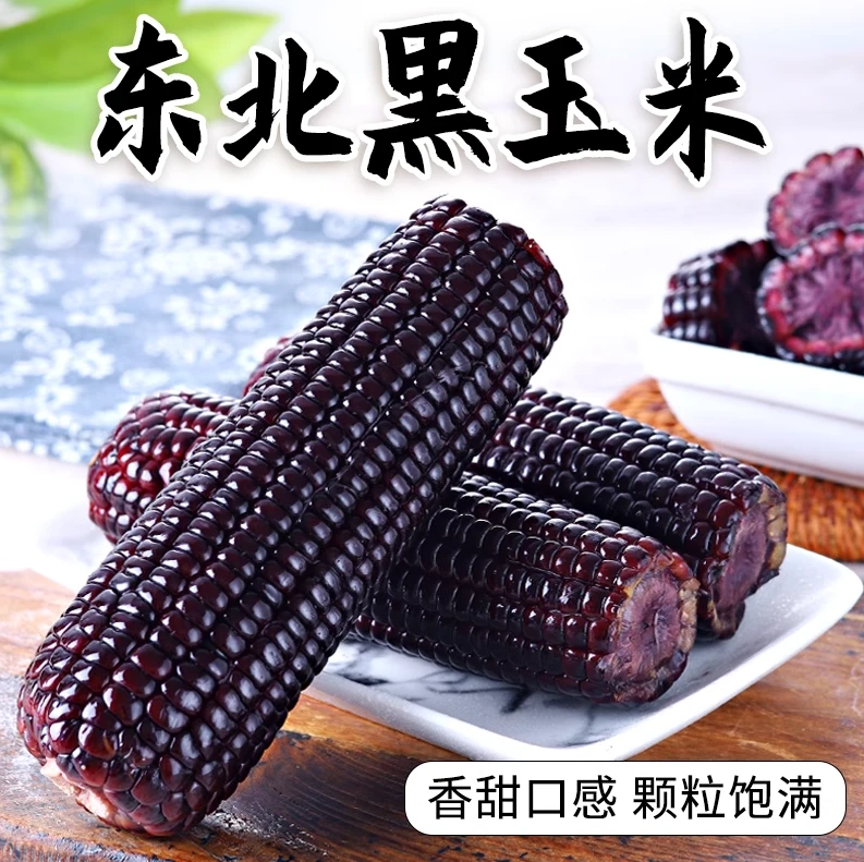 【主播推荐】东北黑糯玉米240g*8穗真空包装锁鲜甜糯粗粮苞米非即食