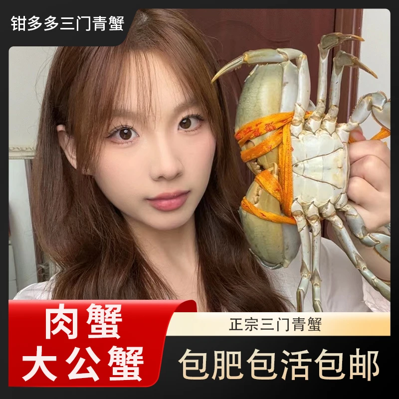 正宗三门青蟹 【大公蟹 】新鲜海水饱满鲜嫩鲜活肥美顺丰空运到家