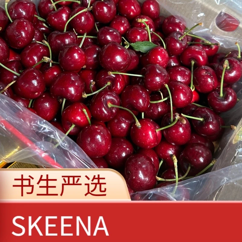 【世茂鲜果】SKEENA 3J礼盒装5斤
