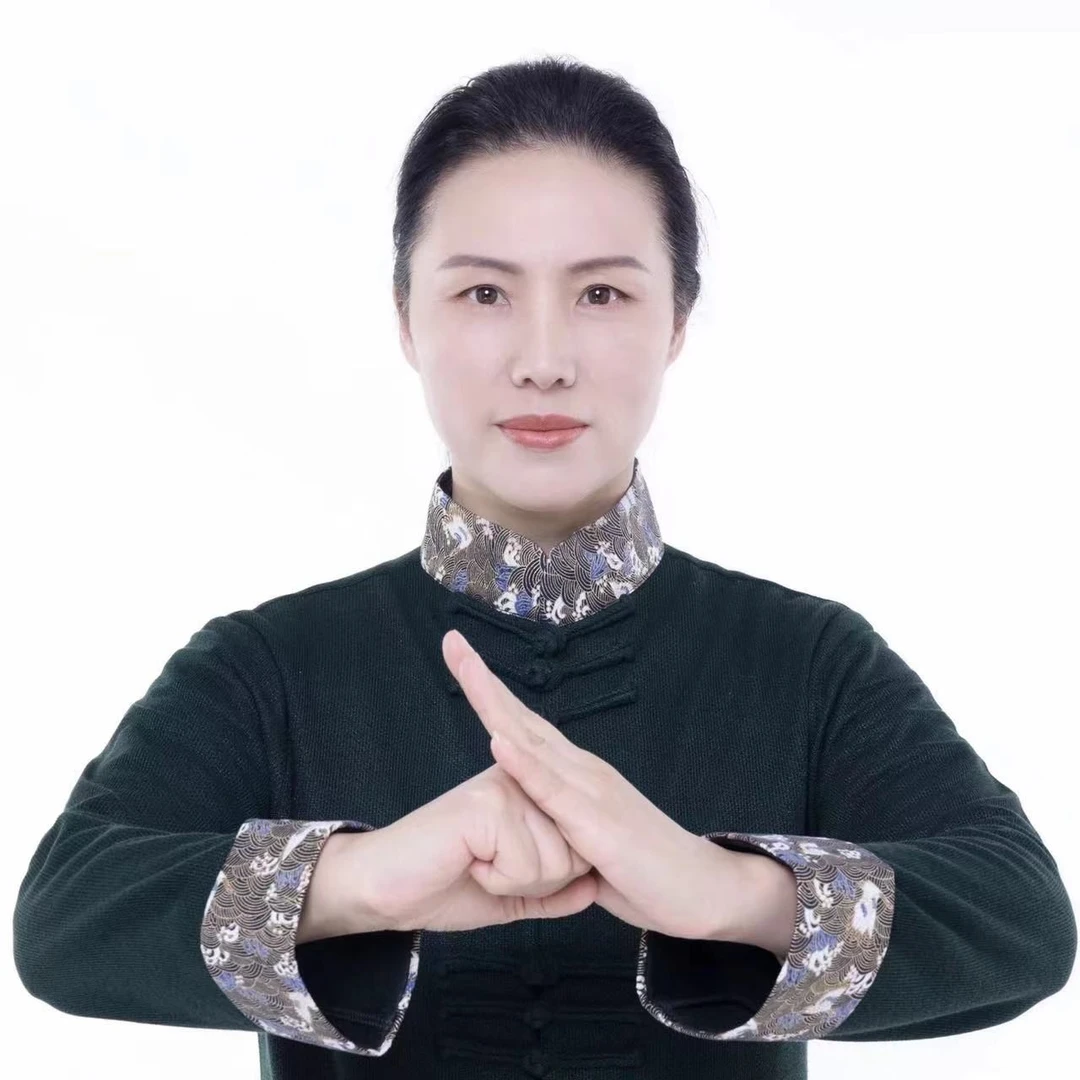 陈氏太极拳老架二路武术套路教学动作指导纠正班