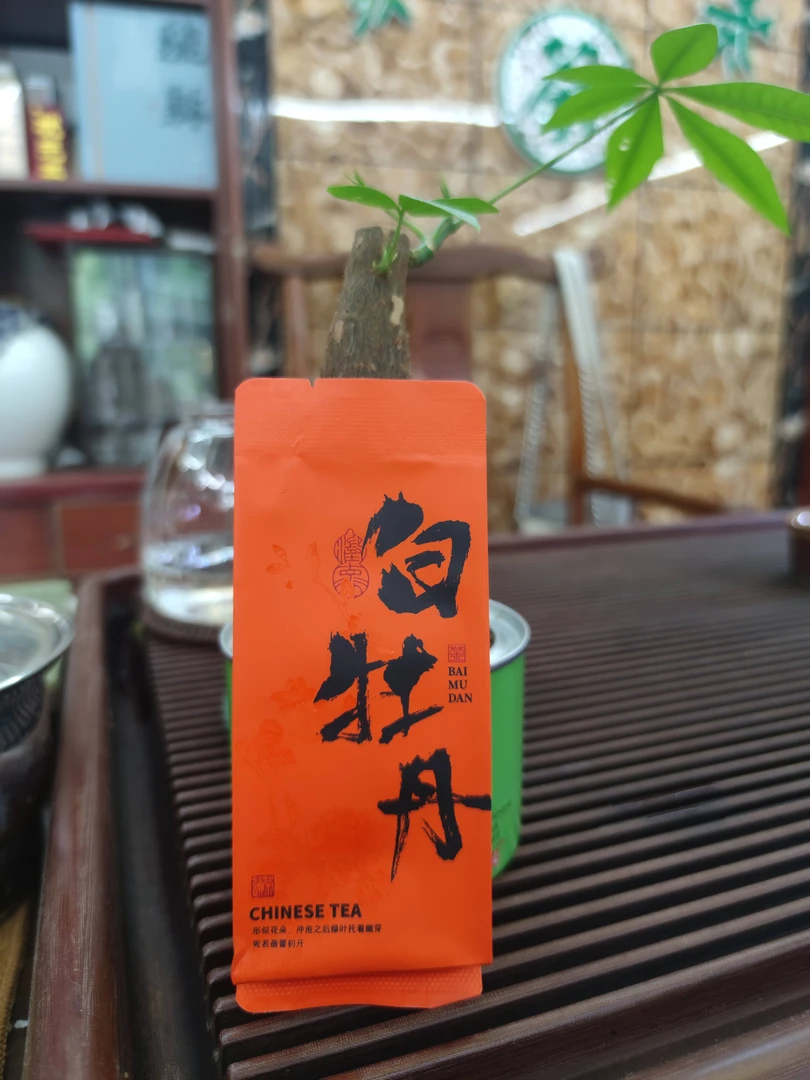 福鼎白茶 白牡丹 办公用茶 小泡袋装方便携带 6克/袋  6袋/盒