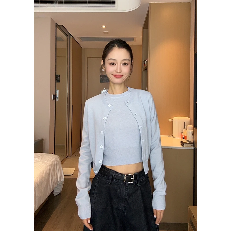 【Q】时尚圆领针织短袖秋冬2024新款百搭两件套H30001