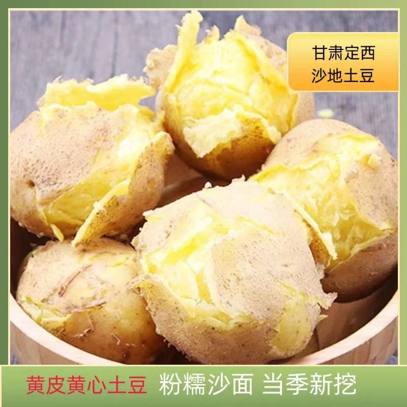 陇优汇新鲜现挖甘肃定西沙地马铃薯沙面种植净重5斤9斤装黄心种植