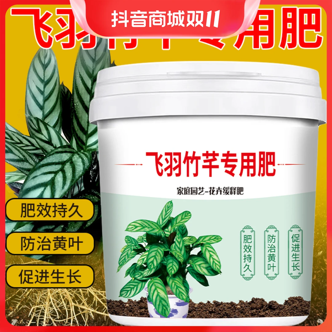 飞羽竹芋专用肥防止黄叶焦叶枯萎卷边壮根系缓释颗粒营养有机肥