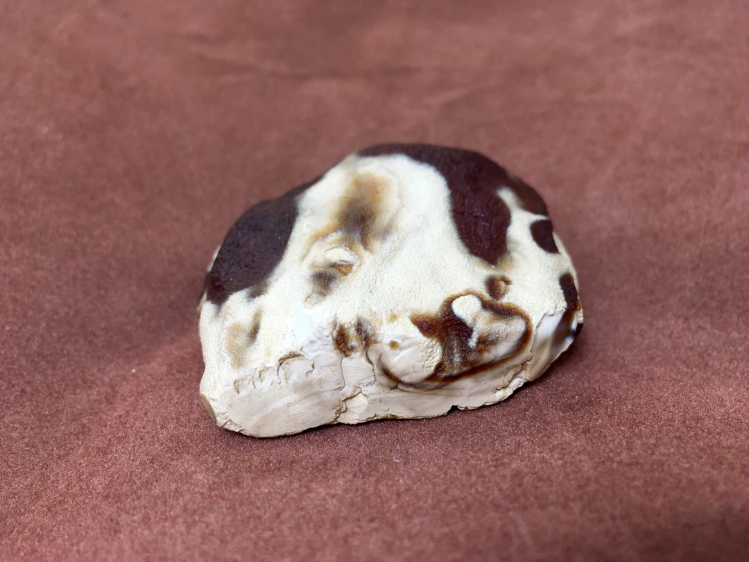 琥珀蜜蜡金白妖孽原石牌子