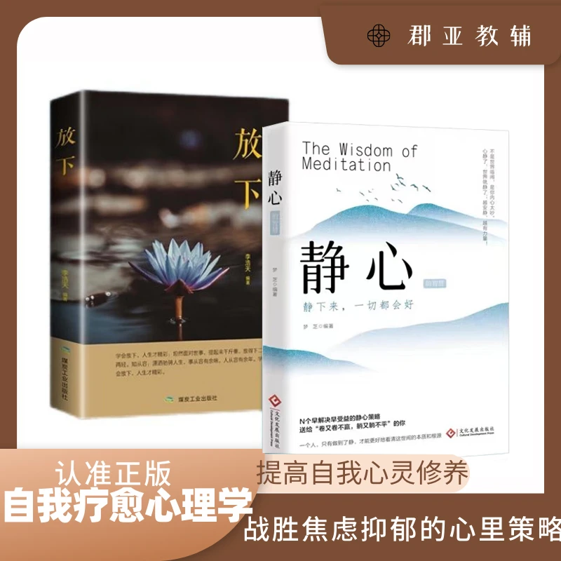 静心放下人生智慧哲学战胜焦虑抑郁心理学治愈系修心修身养性书籍