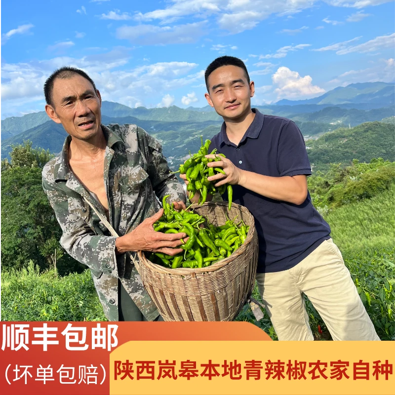 农家自种本地青辣椒2/4斤陕西岚皋新鲜老品种辣子当季蔬菜青椒