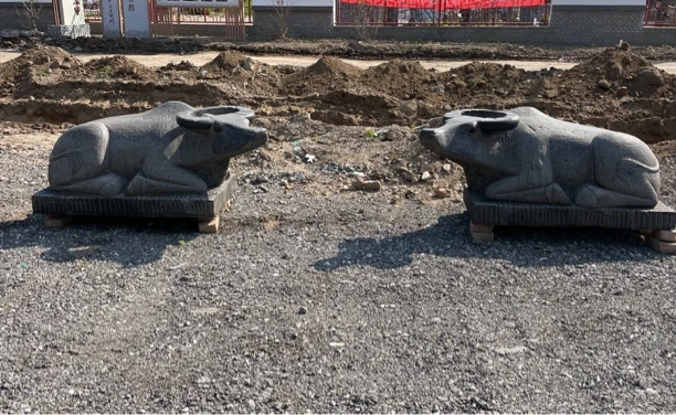 石牛，青石，长1.5米宽66高66