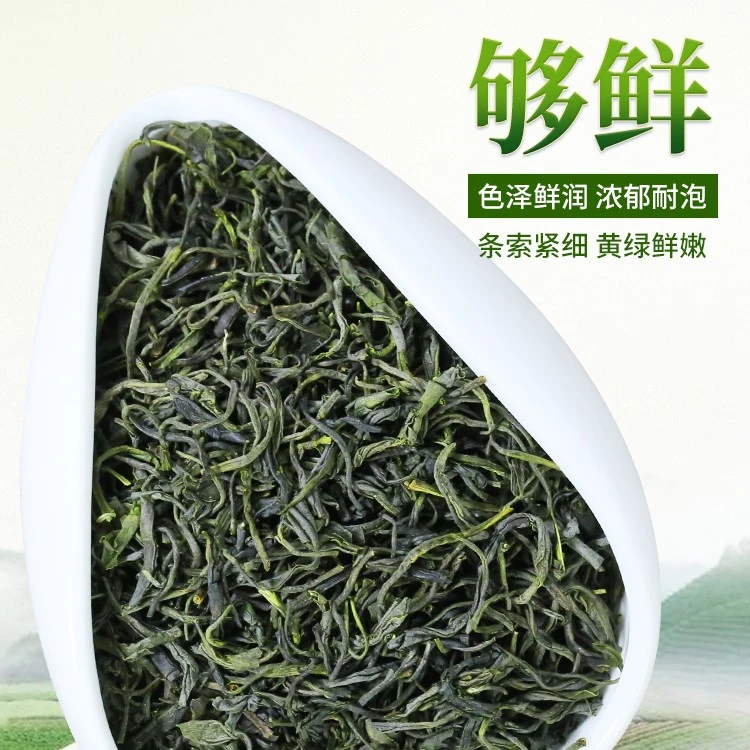 jiangfucha/荆芙茶24年鲜嫩原产好喝好茶实日照绿茶品质茶叶经典