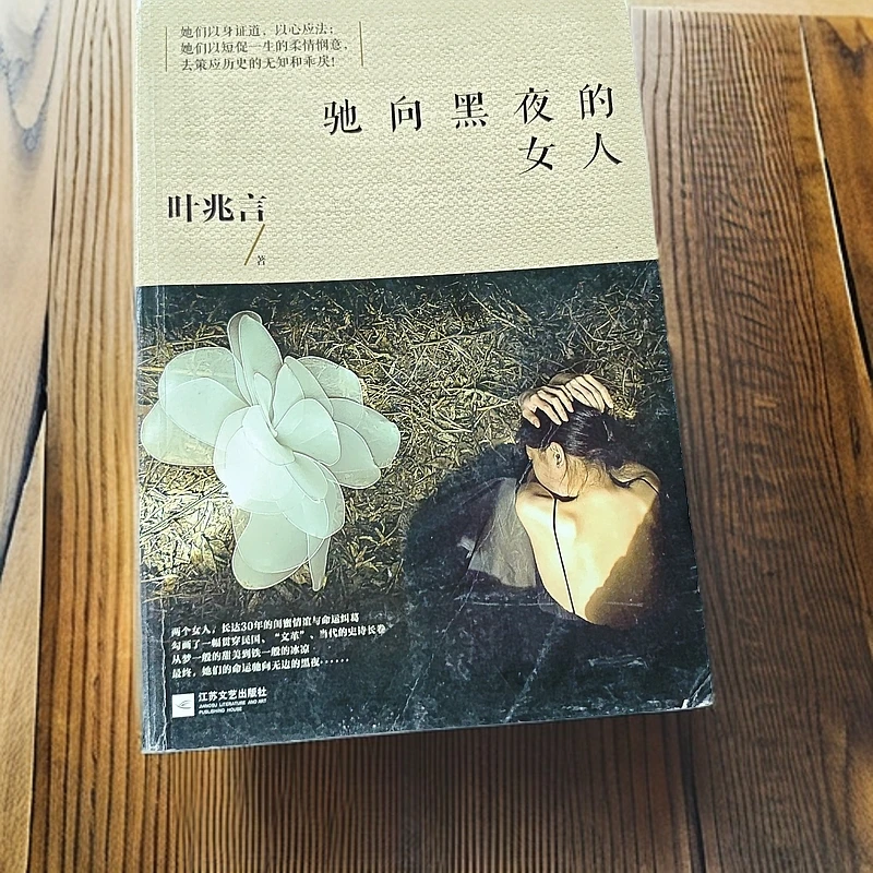 驰向黑夜的女人-叶兆言